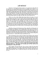 Luận văn đầu tư bảo vệ rừng và phát triển nông thôn huyện đăk rlấp tỉnh đăk lăk   vùng đệm của vườn quốc gia cát tiên 