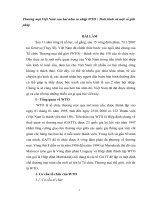 Tiểu luận thương mại việt nam sau hai năm ra nhập WTO tình hình và 1 số giải pháp 