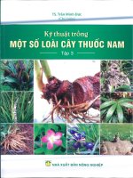 Kỹ thuật trồng một số loài cây thuốc nam