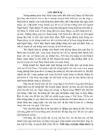 Luận văn mở rộng và hoàn thiện dịch vụ thanh toán thẻ tại ngân hàng NHTMCP nhà HN (habubank) 