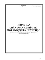 HƯỚNG DẪN CHẨN ĐOÁN VÀ ĐIỀU TRỊ MỘT SỐ BỆNH LÝ HUYẾT HỌC