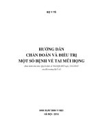 HƯỚNG DẪN CHẨN ĐOÁN VÀ ĐIỀU TRỊ MỘT SỐ BỆNH VỀ TAI MŨI HỌNG