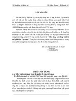 Tiểu luận chủ động hội nhập kinh tế quốc tế của việt nam 
