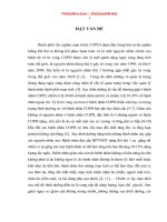 Đánh giá tình trạng dinh dưỡng và chế độ dinh dưỡng của bệnh nhân đợt cấp bệnh phổi mạn tính nặng 