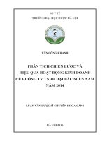 PHÂN TÍCH CHIẾN lược và HIỆU QUẢ HOẠT ĐỘNG KINH DOANH của CÔNG TY TNHH đại bắc MIỀN NAM năm 2014