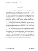Luận văn giải pháp nhằm nâng cao hiệu quả hoạt động đầu tư phát triển tại công ty TNHH sản xuất và thương mại vạn hoa 