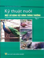 Kỹ thuật nuôi một số động vật rừng thông thường