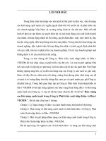 Luận văn đầu tư nâng cao khả năng cạnh tranh trong công ty phát triển XNK và đầu tư VIEXIM 