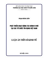 Phát triển hoạt động tài chính vi mô tại các tổ chức tín dụng Việt Nam