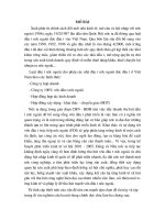 Luận văn Thực trạng đầu tư nước ngoài tại Việt Nam