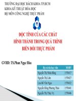 Báo cáo tiểu luận độc tính của các chất hình thành trong quá trình biến đổi của thực phẩm