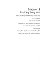 CEHv9VietModule 12 Hacking web server  7