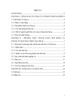 phương thức thanh toán nhờ thu về nhập khẩu máy hàn tự động của công ty cổ phần thép sao biển với công ty lucky man trung quốc 