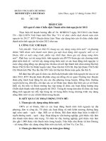 Báo cáo kết quả chiến dịch thanh niên tình nguyện hè