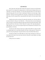 Tiểu luận môn Đầu tư quốc tế: Dự án đầu tư Jica 2