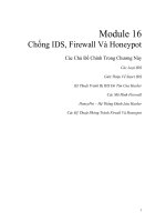 CEHv9 viet module 16   IDS firewall honeypot  16