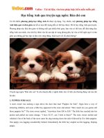 Học tiếng Anh qua truyện ngụ ngôn: Bán chó con