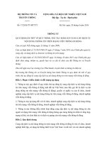 Thông tư 17/2016/TT-BTTTT Quy định về thủ tục đăng ký cung cấp dịch vụ nội dung thông tin trên mạng di động