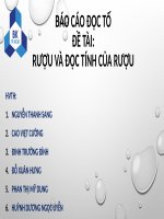 Báo cáo tiểu luận độc tính của rượu