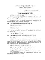 Hợp đồng hợp tác tổ hợp tác