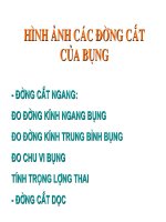 Siêu âm bụng thai  Chẩn đoán hình ảnh.
