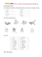 Bài tập Tiếng Anh lớp 3