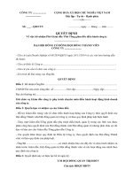 Mẫu Quyết định bổ nhiệm phó giám đốc