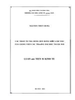 Các nhân tố tác động đến động lực làm việc của giảng viên các trường đại học tại Hà Nội.
