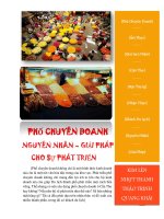 PHỐ CHUYÊN DOANH  NGUYÊN NHÂN VÀ GIẢI PHÁP CHO SỰ PHÁT TRIỂN