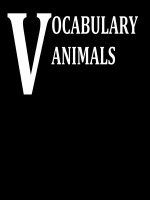 Vocabulary animals (Pictures)