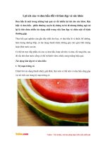 Lợi ích của vỏ dưa hấu đối với làm đẹp và sức khỏe