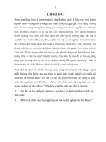 Sai lầm và hạn chế phổ biến trong xây dựng và phát triển thương hiệu tại việt nam   phân tích chiến lược thương hiệu của một doanh nghiệp tại hải phòng 