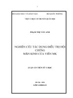 Luận án tiến sĩ Nghiên cứu tác dụng điều trị hội chứng mãn kinh của viên MK