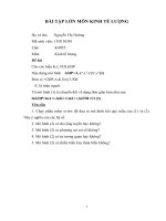 Bài tập lớn môn kinh tế lượng   nguyễn thị hường 