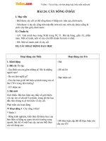 Giáo án Tự nhiên xã hội 2 bài 24
