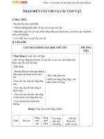 Giáo án Tự nhiên xã hội 2 bài 31