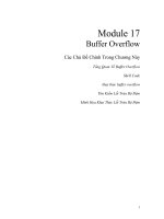 CEHv9 viet module 17   buffer overflow  9
