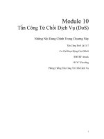 CEHv9 viet module 10   dos  8