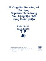 Hướng dẫn lâm sàng về Sử dụng Buprenorphine trong Điều trị nghiện chất dạng thuốc phiện