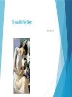 Soạn bài tà áo dài việt nam