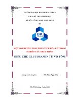 Báo cáo tiểu luận các phương pháp phân tích trong quá trình điều chế Glucosamin từ vỏ tôm