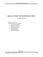 Báo cáo thực hành kinh tế lượng   nhóm ACDNPP 