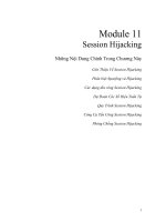 CEHv9 viet module 11   session hijacking 9