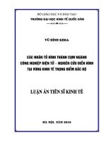 Các nhân tố hình thành cụm ngành công nghiệp điện tử   nghiên cứu điển hình tại vùng kinh tế trọng điểm bắc bộ