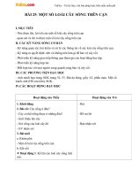 Giáo án Tự nhiên xã hội 2 bài 25