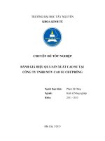 Đánh giá hiệu quả sản xuất cao su tại công ty TNHH MTV chư prông 