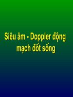 Siêu âm  Doppler động mạch đốt sống.