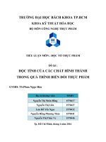 Báo cáo tiểu luận độc tính của các chất hình thành trong quá trình biến đổi thực phẩm