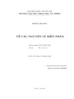 Luận văn về các nguyên lý biến phân 