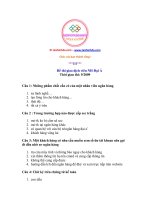 Đề thi giao dịch viên ngân hàng đại á 